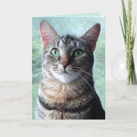 Groene-Oog Tabby Lege Kaart (Voorkant)