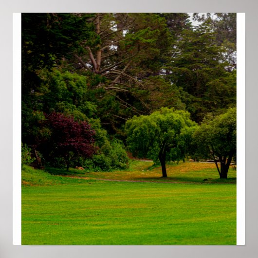 Groene Open plek Poster (Voorkant)