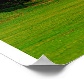 Groene Open plek Poster (Hoek)
