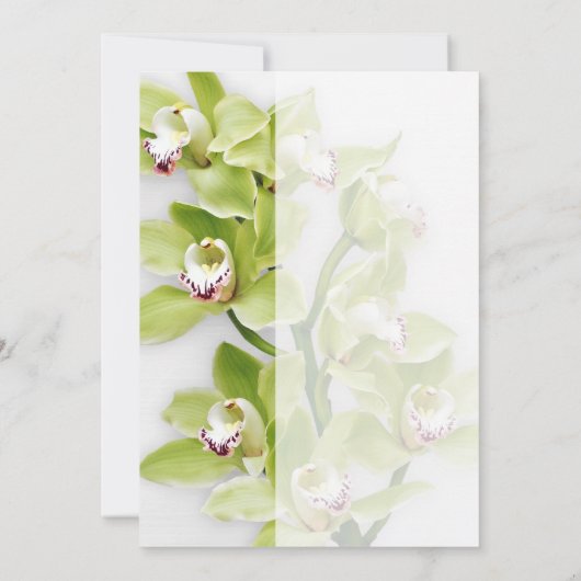 Groene orchidee foto bruiloft dank je kaart (Achterkant)