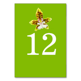 Groene orchidee kunst trouw bloem tafel nummers kaart