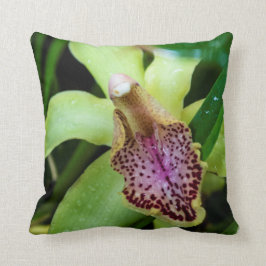 Groene Orchidee Worp Kussen