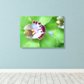 Groene Orchideeën Canvas Afdruk (Insitu (Houten vloer))