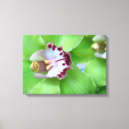 Groene Orchideeën Canvas Afdruk (Voorkant)