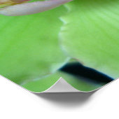 Groene orchideeën - Prints, Canvas, omlijst Poster (Hoek)