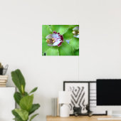 Groene orchideeën - Prints, Canvas, omlijst Poster (Thuiskantoor)