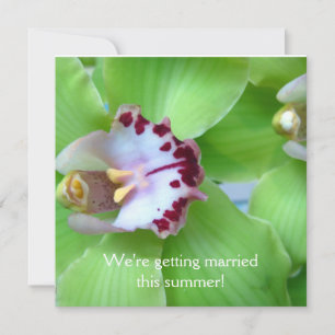 Groene Orchideeën uitnodigingen