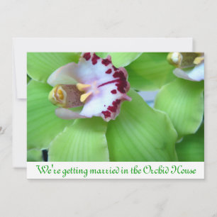Groene Orchideeën uitnodigingen