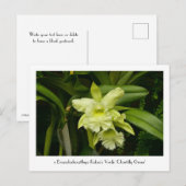 Groene orchideeën Verzamelbaar Briefkaart (Voorkant / Achterkant)