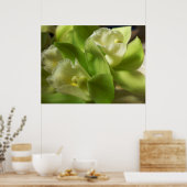 Groene orchideeën Zijde en Satin 1 Poster (Keuken)