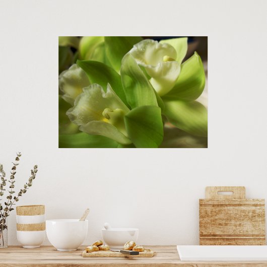 Groene orchideeën Zijde en Satin 1 Poster (Keuken)