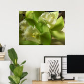 Groene orchideeën Zijde en Satin 1 Poster (Thuiskantoor)