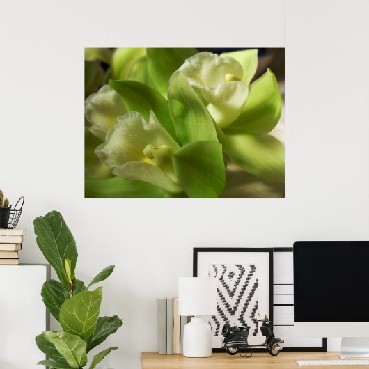 Groene orchideeën Zijde en Satin 1 Poster (Thuiskantoor)