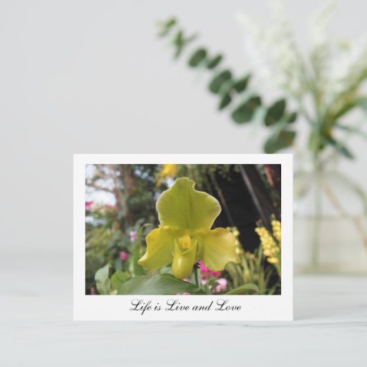  groene orchideeënbloem, bloemenfotografie briefkaart (Staand voorkant)