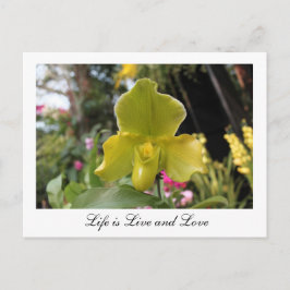  groene orchideeënbloem, bloemenfotografie briefkaart