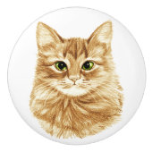Groene Oyes Ginger Cat Drawer Pulls Knollen Keramische Knop (Voorkant)