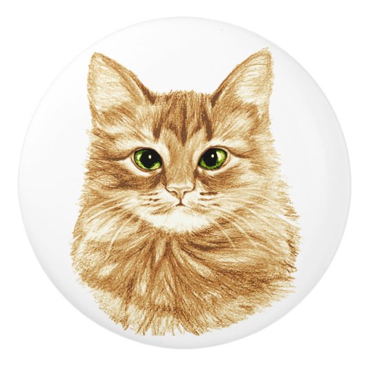Groene Oyes Ginger Cat Drawer Pulls Knollen Keramische Knop (Voorkant)