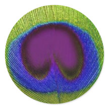 Groene Paarse Blauwe Peacock Veer Stickers / Afdic