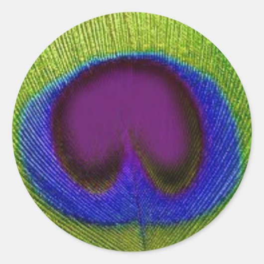 Groene Paarse Blauwe Peacock Veer Stickers / Afdic (Voorkant)