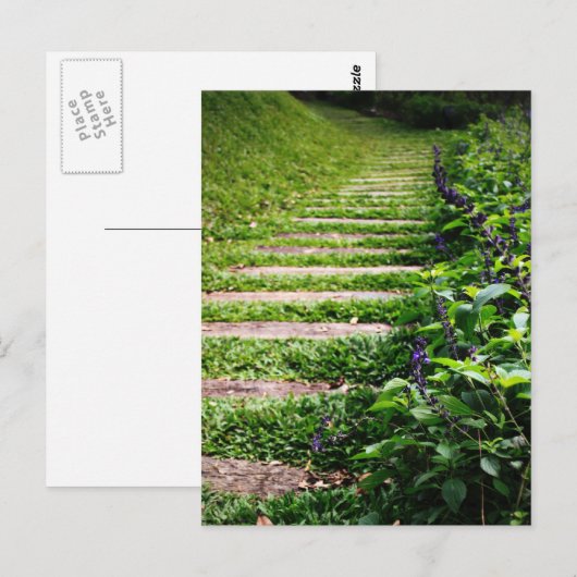 Groene pad briefkaart (Voorkant / Achterkant)