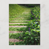 Groene pad briefkaart (Voorkant)