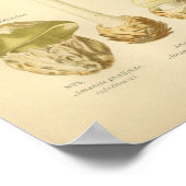  groene paddenstoelen Kunst print Frans (Hoek)