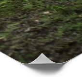 Groene paden 13 Poster (Hoek)