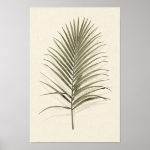 Groene palmblad botanische poster