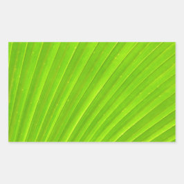 Groene palmblad Sticker
