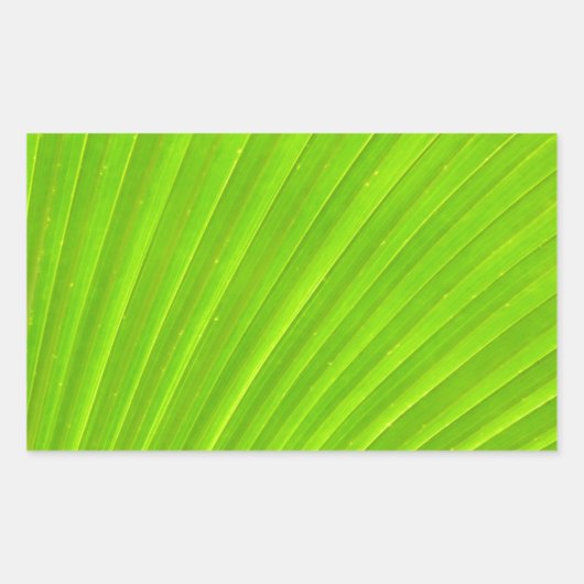 Groene palmblad Sticker (Voorkant)