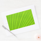 Groene palmblad Sticker (Envelop)