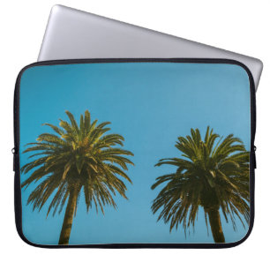 Groene palmboom onder blauwe hemel 's ochtends laptop sleeve
