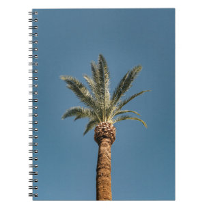 Groene palmboom onder blauwe hemel 's ochtends notitieboek