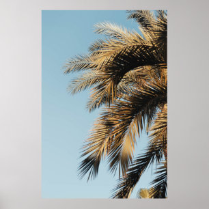 Groene palmboom onder blauwe hemel 's ochtends poster