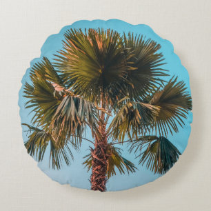Groene palmboom rond kussen