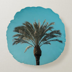Groene palmboom rond kussen