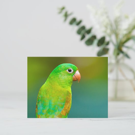 groene papegaai briefkaart (Staand voorkant)