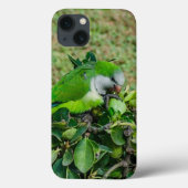 Groene papegaai Case-Mate iPhone case (Achterkant)