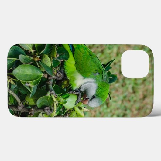 Groene papegaai Case-Mate iPhone case (Achterkant (horizontaal))