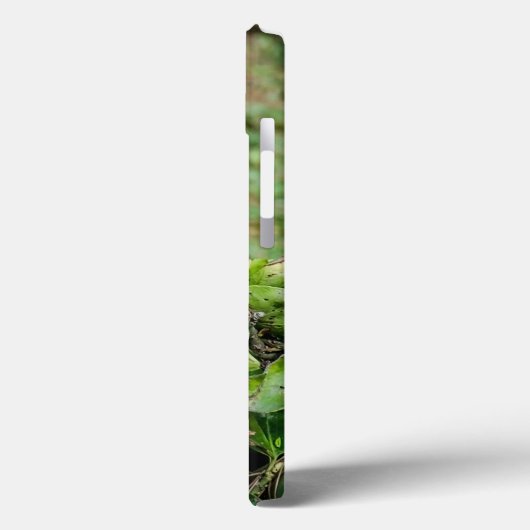 Groene papegaai Case-Mate iPhone case (Achterkant / Links)