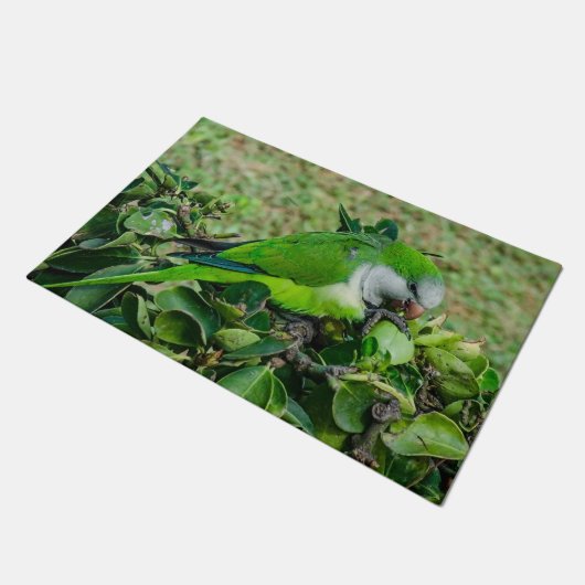 Groene papegaai deurmat (Schuin)