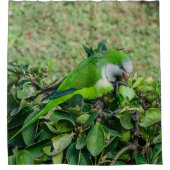 Groene papegaai douchegordijn (Voorkant)