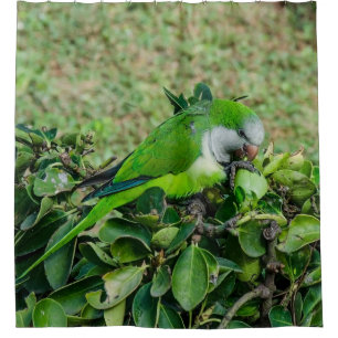 Groene papegaai douchegordijn