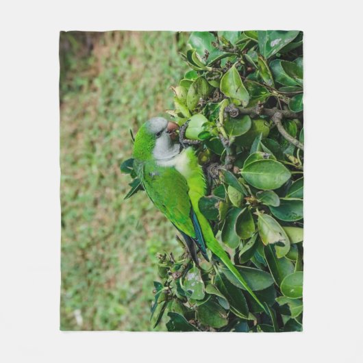 Groene papegaai fleece deken (Voorkant)