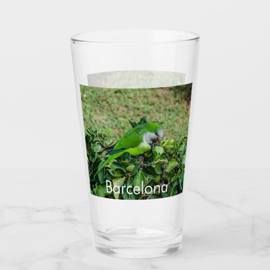 Groene papegaai glas (Voorkant)