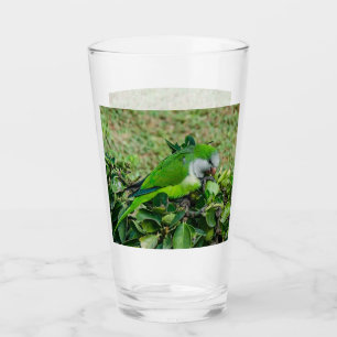 Groene papegaai glas