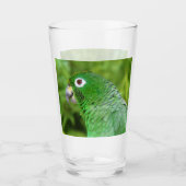 Groene papegaai - Glass Glas (Voorkant)