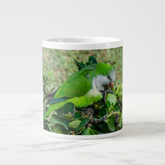 Groene papegaai grote koffiekop (Voorkant)