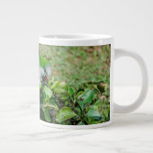 Groene papegaai grote koffiekop (Rechts)
