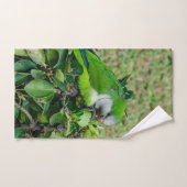Groene papegaai handdoek (Handdoek)